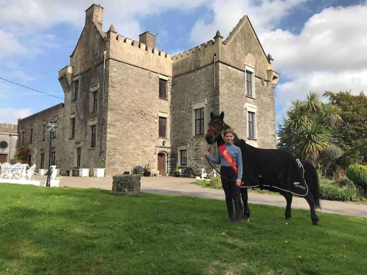 Ballea Castle Cork Esterno foto